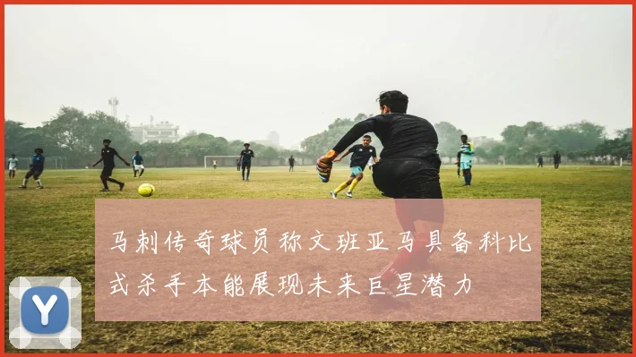 马刺传奇球员称文班亚马具备科比式杀手本能展现未来巨星潜力